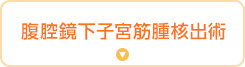 腹腔鏡下子宮筋腫核出術