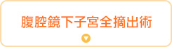 腹腔鏡下子宮全摘出術
