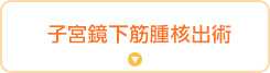 子宮鏡下筋腫核出術
